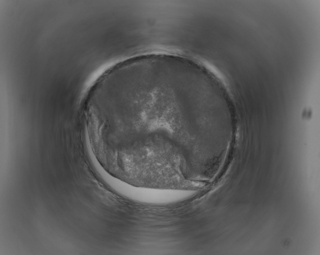 X0000091891310200710031754