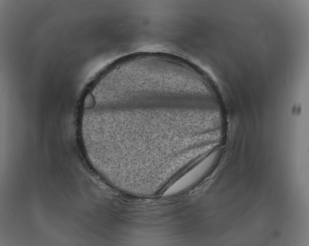 X0000091891311200710031754