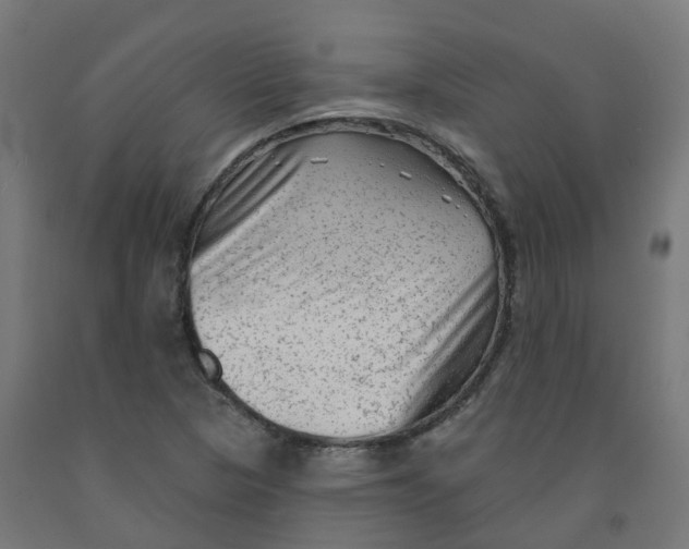 X0000091891313200710031754