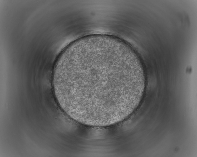 X0000091891314200710031754