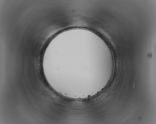 X0000091891315200710031754