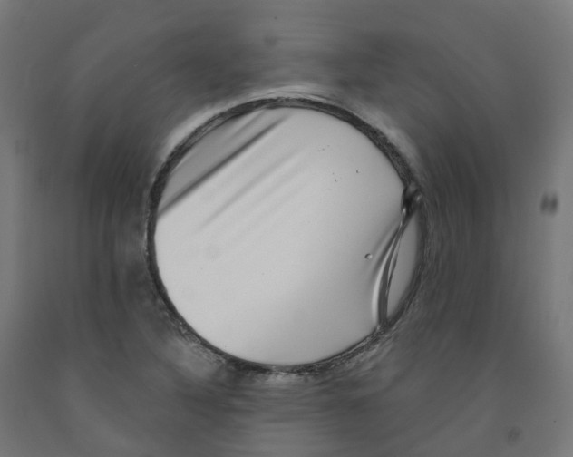 X0000091891316200710031754