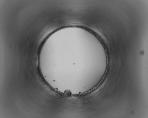 X0000091891317200710031754