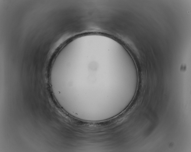X0000091891318200710031754