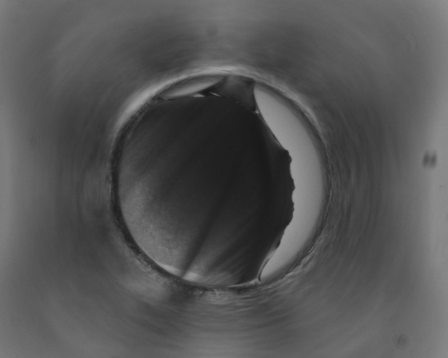 X0000091891319200710031754