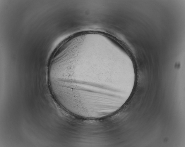 X0000091891320200710031754