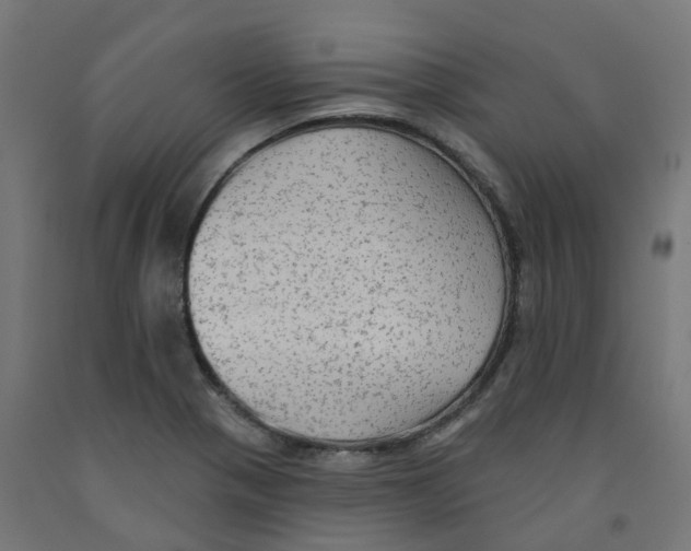 X0000091891321200710031754