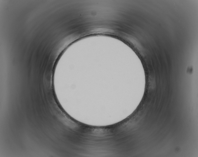 X0000091891322200710031754