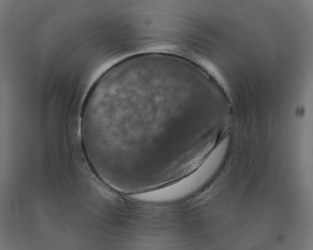 X0000091891324200710031754