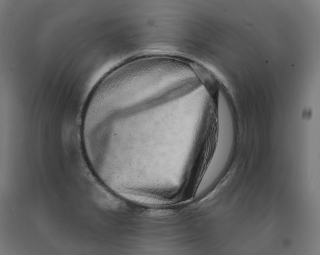 X0000091891325200710031754