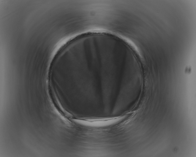 X0000091891327200710031754
