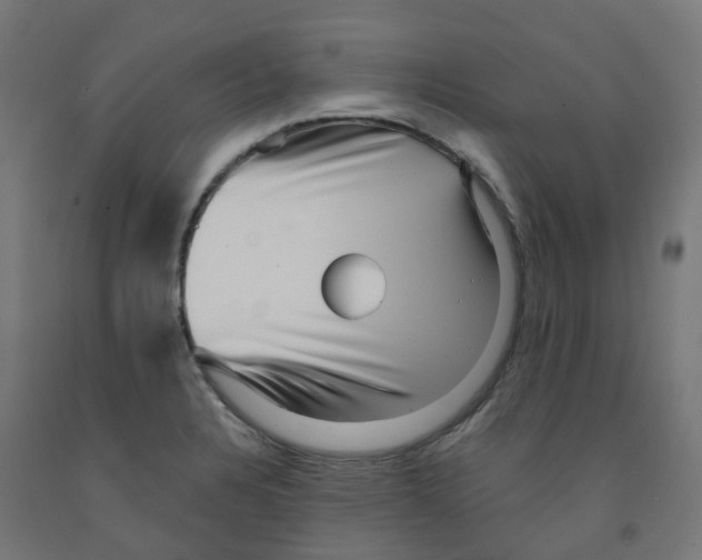 X0000091891328200710031754