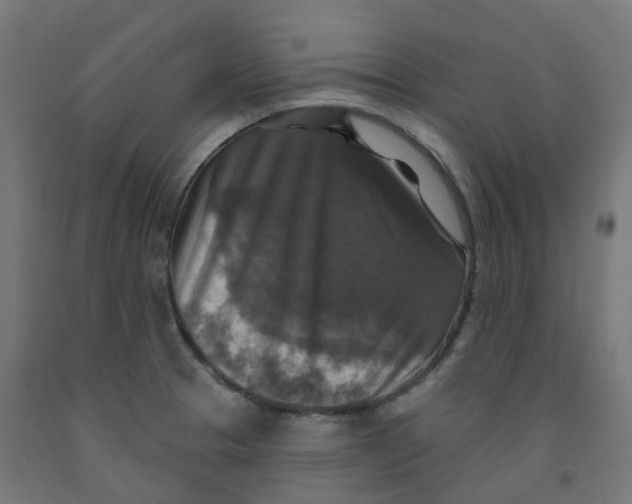 X0000091891329200710031754