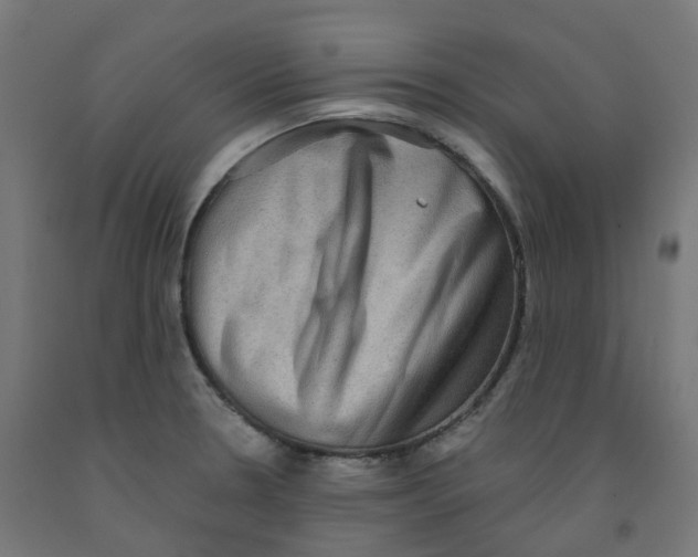 X0000091891330200710031754