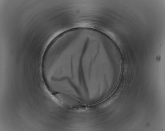 X0000091891331200710031754
