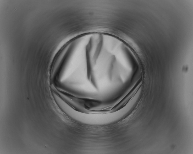 X0000091891332200710031754