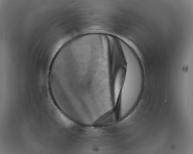 X0000091891333200710031754