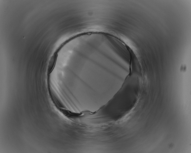 X0000091891334200710031754