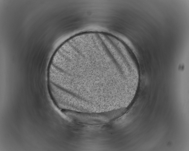 X0000091891335200710031754