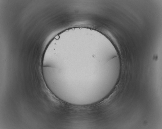 X0000091891336200710031754