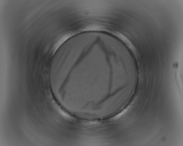 X0000091891337200710031754