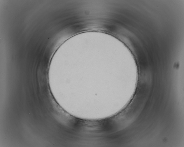X0000091891338200710031754