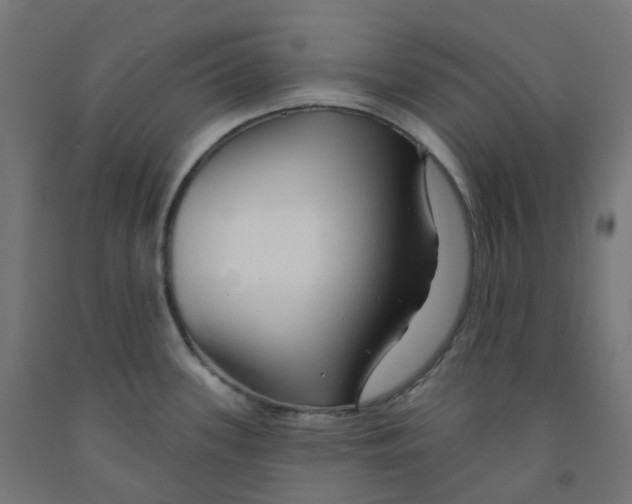 X0000091891339200710031754