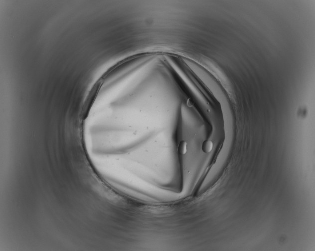 X0000091891340200710031754