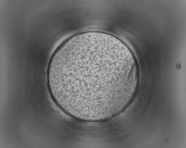 X0000091891341200710031754