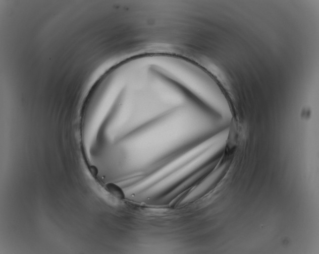 X0000091891342200710031754