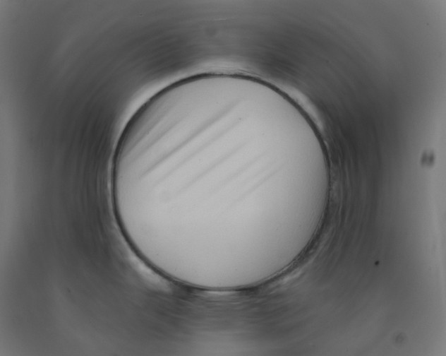 X0000091891343200710031754