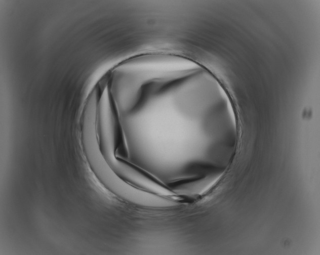 X0000091891344200710031754