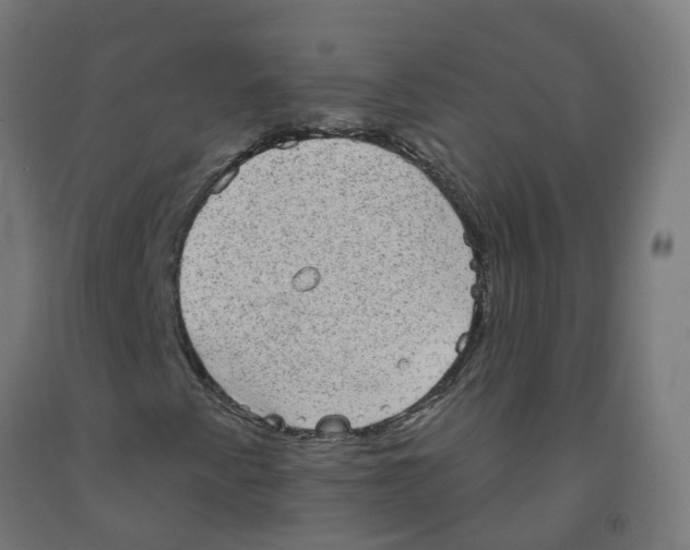 X0000091891345200710031754