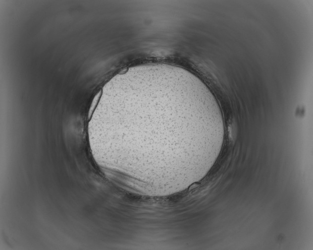 X0000091891347200710031753
