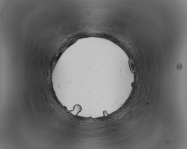 X0000091891348200710031753