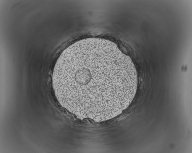 X0000091891349200710031753