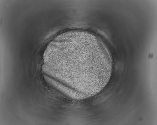 X0000091891350200710031753
