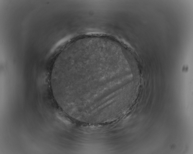 X0000091891351200710031753