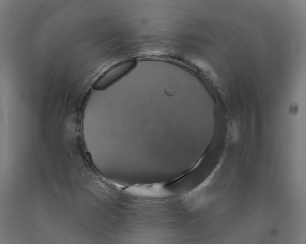 X0000091891353200710031753