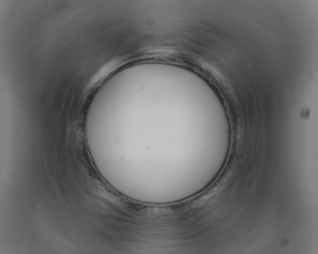 X0000091891354200710031753