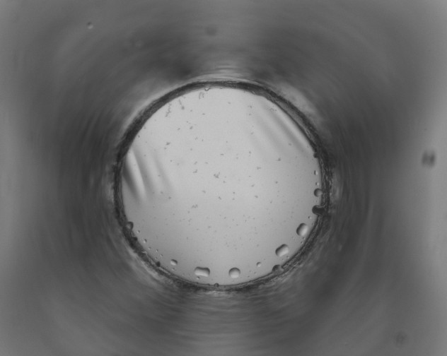 X0000091891356200710031753