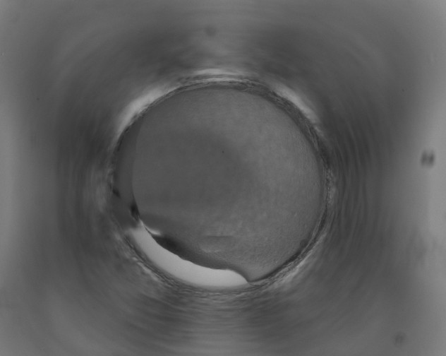X0000091891357200710031753