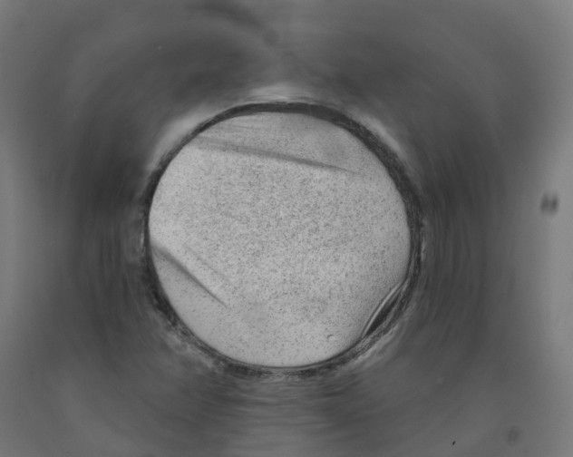 X0000091891358200710031753