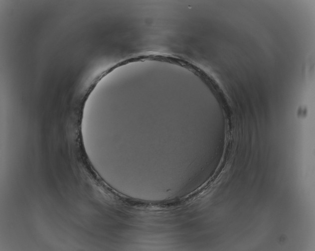 X0000091891359200710031753