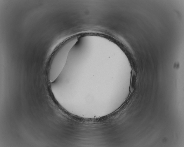 X0000091891360200710031753