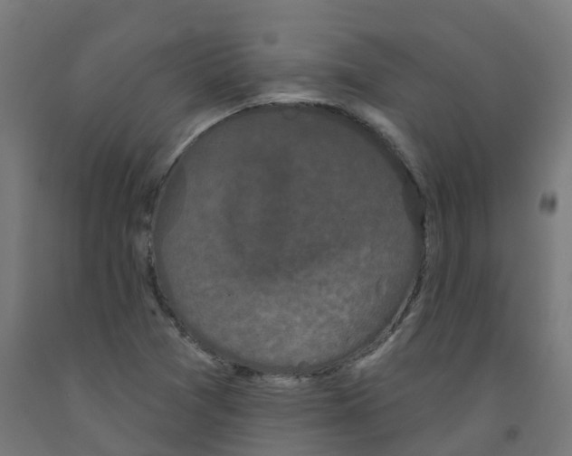 X0000091891361200710031753