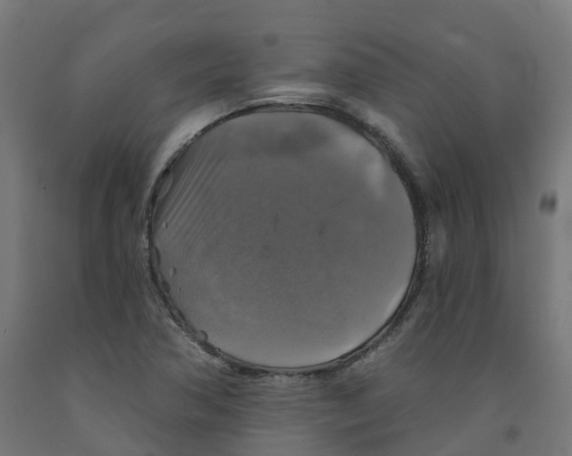 X0000091891362200710031753