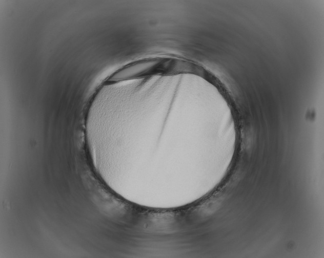 X0000091891363200710031753