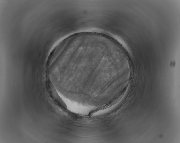 X0000091891364200710031753