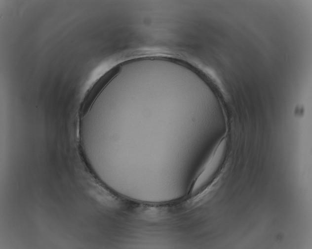 X0000091891365200710031753